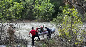Pülümür Çayı'nda ağaçta mahsur kaldı, ekipler kurtardı