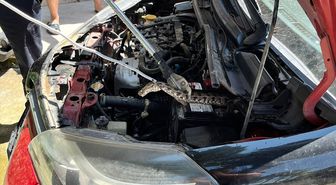 Adana'da otomobilin motor bölümüne giren yılanı itfaiye ekipleri çıkardı