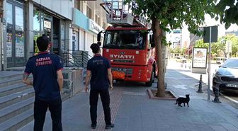 Batman'da vefakar kedi arkadaşını yalnız bırakmadı