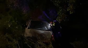 Bursa'da otomobil zeytinliğe uçtu: 2'si çocuk 4 yaralı