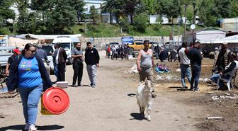 Elazığ hayvan pazarında hareketlilik sürüyor