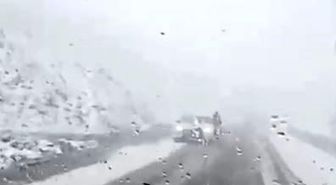 Mayıs ortasında kar esareti