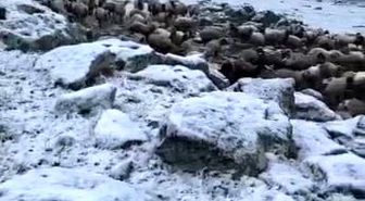 Mayıs sonunda Kars'a kış geri döndü, eksi 5 derecede kar sürprizi