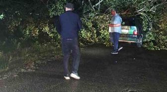 Bartın'da şiddetli fırtına: Ağaçlar otomobillerin üzerine devrildi