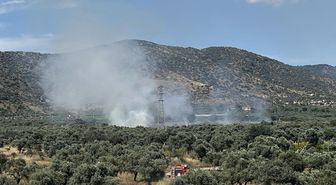 Bayındır'da zeytinlik alanda yangın