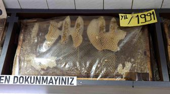 Görenler dönüp bir daha bakıyor, 35 yıllık bal çerçeveleri dikkat çekiyor