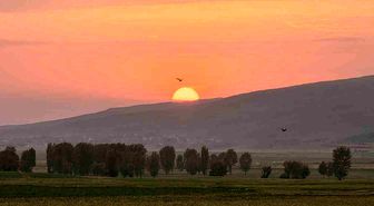 Güroymak'ta gün batımı görsel şölen sundu