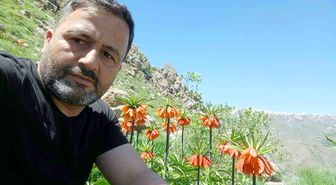 Hakkari'de 2 bin 700 rakımda ters laleler görüntülendi