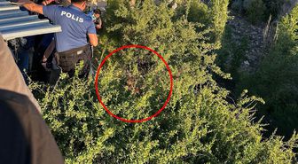 Nevşehir'de babasından kaçan zihinsel engelli şahıs deredeki ağaçta asılı kaldı