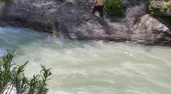 Serinlemek için girdiği çayda akıntıya kapılarak kayboldu