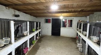 Artvin'de horoz dövüştüren 39 kişiye 508 bin lira ceza uygulandı