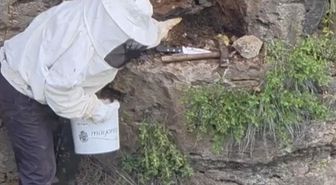 Bir çoban, kaya oyuğunda tesadüfen hazine değerinde doğal bal buldu