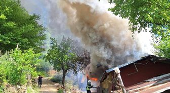 Kozan'da yayla evindeki yangın ormana sıçradı, ekipler müdahale ediyor