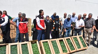Tekirdağ'da üreticilere yazlık sebze fidesi dağıtıldı