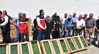 Tekirdağ'da üreticilere yazlık sebze fidesi dağıtıldı