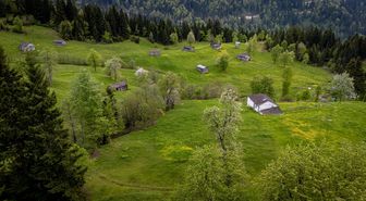 Trabzon'un yaylaları doğal güzellikleriyle ziyaretçilerini ağırlıyor