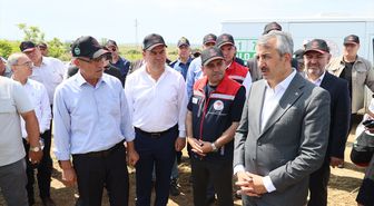 Edirne'de meralar üreticiye destek amaçlı ıslah ediliyor