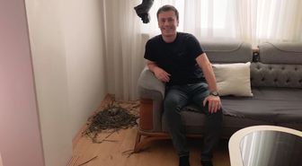 Evinin oturma odasına yuva yapan güvercinlere sahip çıktı