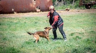 Muğla NAK Arama Kurtarma Köpekleri Macaristan'da sahaya indi