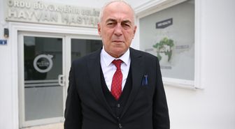 Ordu'da 7 yılda yaklaşık 25 bin sahipsiz hayvanın tedavisi ve bakımı yapıldı
