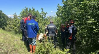 Sinop'ta ormanda ineği rahatsızlanan çiftçiye itfaiye, jandarma ve AFAD ekiplerinden yardım eli