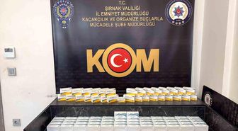 Şırnak'ta kaçak ilaç ve serum operasyonu: 2,5 milyon liralık tıbbi ürün ele geçirildi