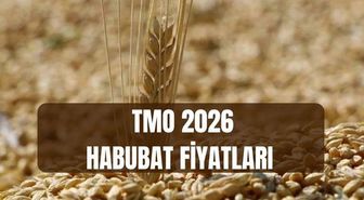 TMO HABUBAT FİYATLARI 2026: Buğday ve arpa alım-satım fiyatları ne kadar oldu? Habubat satışları ne zaman başlayacak?