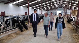 Beylikova Kaymakamı Kantilav, hayvancılık faaliyetlerini inceledi