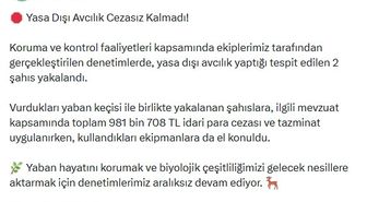 Mersin'de Yaban Keçisi Vuran Avcılara Yüksek Cezalar