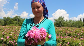 Isparta'da gül sezonu başladı