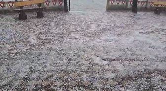 Ordu'da dolu yağışı etkili oldu