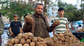 Görüntüsü patates gibi olsa da lezzeti çok başka: Kilosu 2 bin TL'den kapış kapış gidiyor 