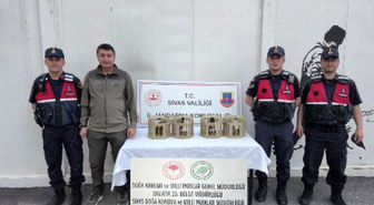 Sivas'ta usulsüz ele geçirilen 4 keklik doğaya salındı