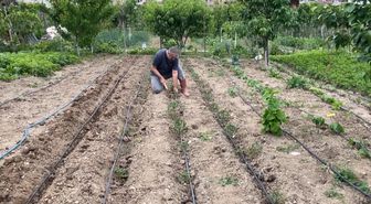 Artvin'de eğitimciler hobi bahçelerini üretim alanına dönüştürdü