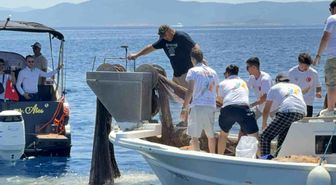 Bodrum'da 2 bin metrekare hayalet ağ temizlendi, binlerce yavru balık doğaya bırakıldı