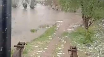 Bolu'da sağanak yağış dereleri taşırdı: Bahçe ve ahırlar sular altında kaldı