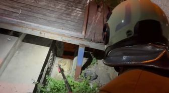 Hatay'da evin bahçesine giren yılan, doğaya salındı