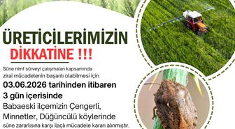 Kırklareli'nde süne zararlısına karşı ilaçlama uyarısı