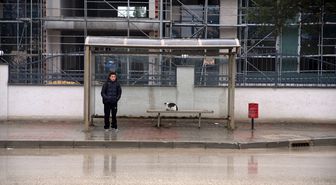 Sahipsiz kedi otobüs durağını mesken tuttu