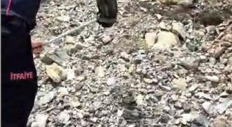 Yatak ve halıların arasına saklanan yılanı itfaiye buldu