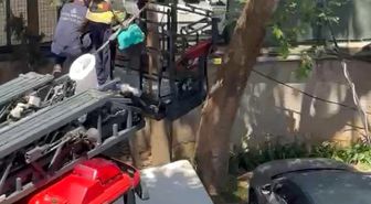 Ağaçta mahsur kalan kedi itfaiye tarafından kurtarıldı
