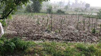 Bursa'da dolu… Keles'te tarım arazilerini dolu vurdu