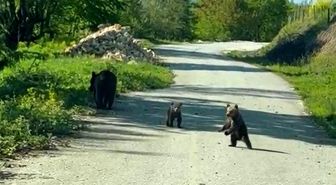 Kardeşlerin anne ayı ve yavruları ile sohbeti gülümsetti