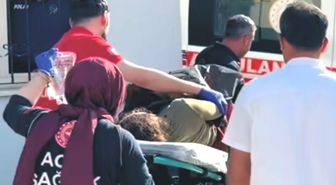 Adıyaman'da ot biçme makinesine kolunu kaptıran kadın yaralandı