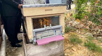 Sinop'ta Türkiye'nin 913'üncü bal ormanı hizmete açıldı