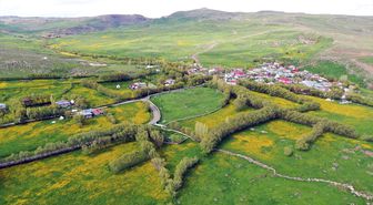 Ağrı'nın yüksek rakımlı köyleri çiçeklerle sarardı