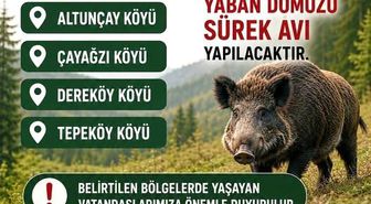 Akçakoca'da domuz avı yapılacak