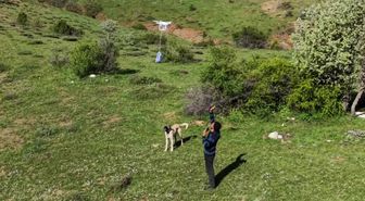 Arazideki çobanlara dronla 'şeker' gönderdiler