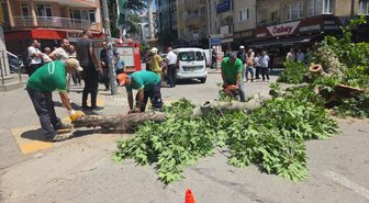 Bursa'da devrilen ağaç nedeniyle bir araç zarar gördü