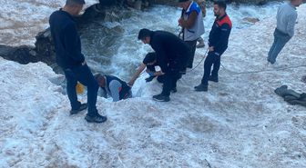 Hakkari'de kar kütlesinin altında mahsur kalan ineği ekipler kurtardı